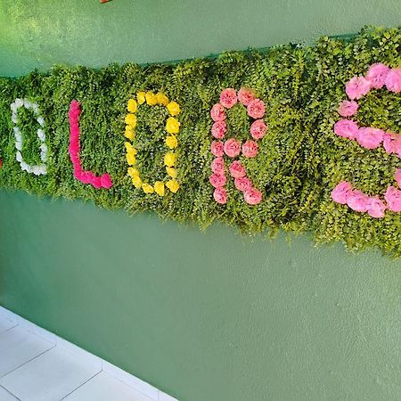 Hotel Colors ماناوس المظهر الخارجي الصورة